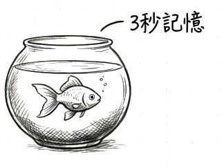 金魚缸裡的金魚，旁邊寫著 3 秒記憶